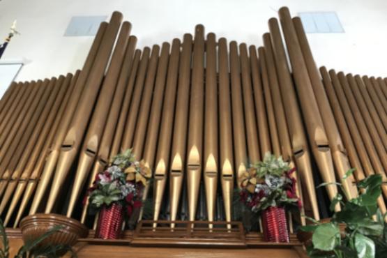 photo of the organ pipes and flowers